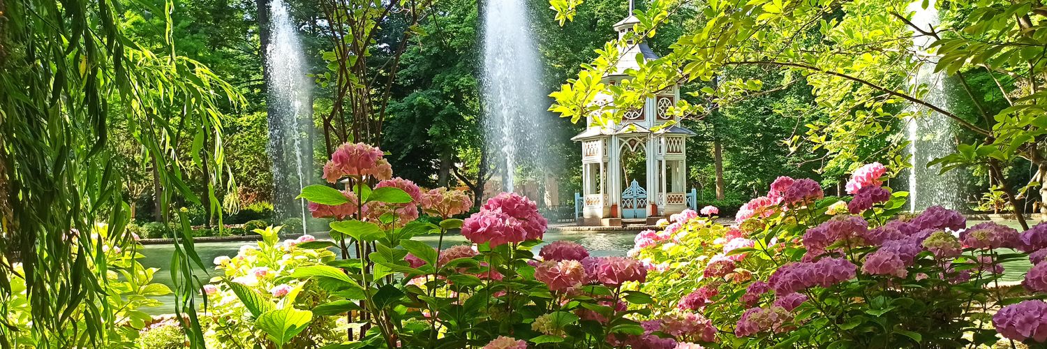 María C 🌼👼🏻 banner