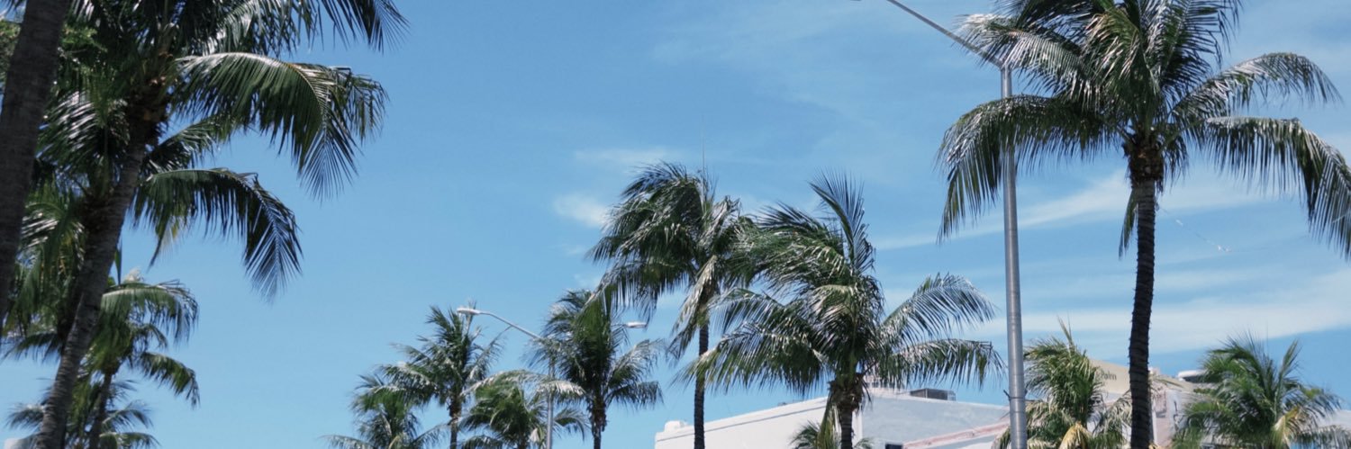 João Reichert banner
