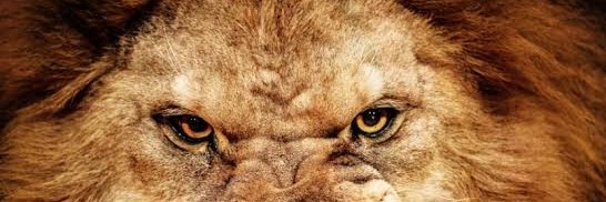 bagindakarli's profile banner image