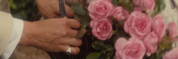 EVNITA90's profile banner image