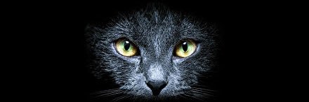 bcat_1015's profile banner image