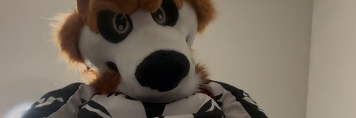 ColeWolfAD's profile banner image