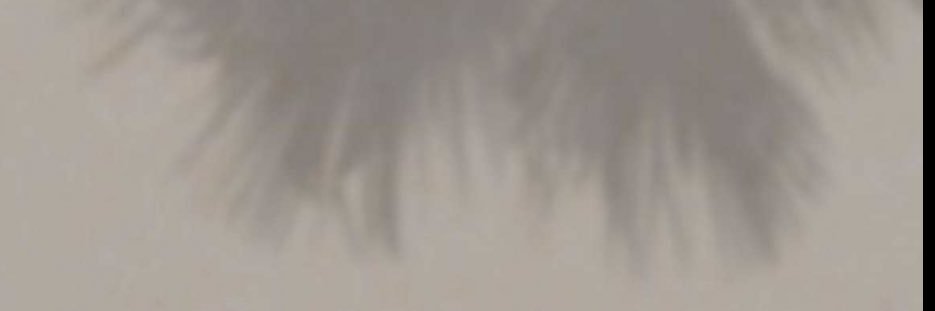 Lama_7lv's profile banner image