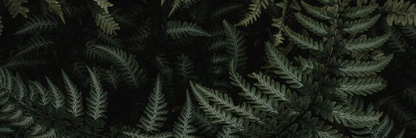 VeganSupremeTM Profile Banner