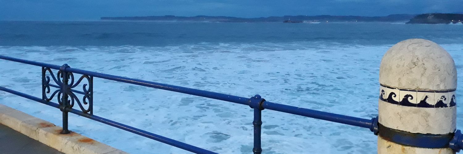 Celia Gilsanz banner