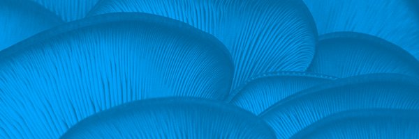ConsciousMindHQ Profile Banner