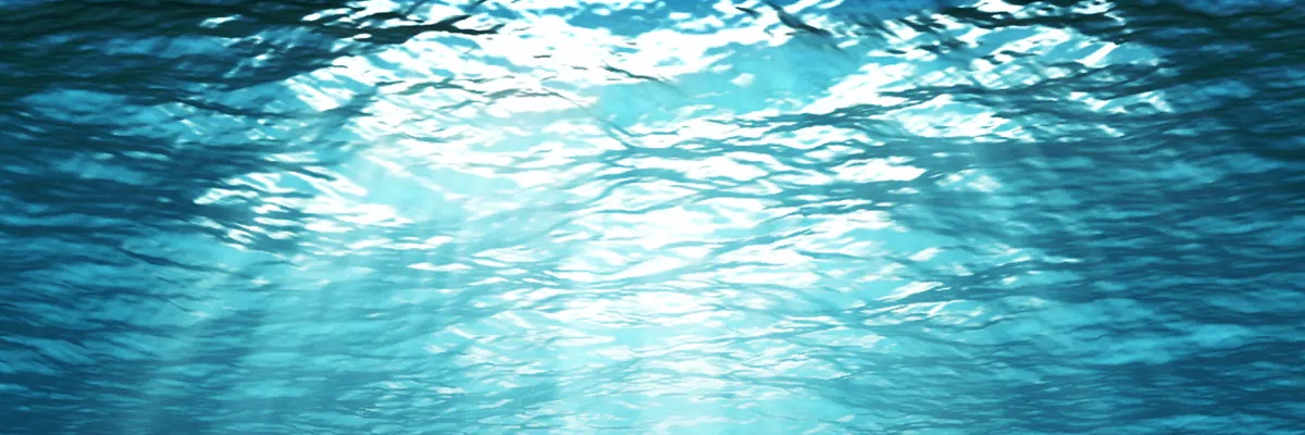 PerfumedLobster (Parody) banner