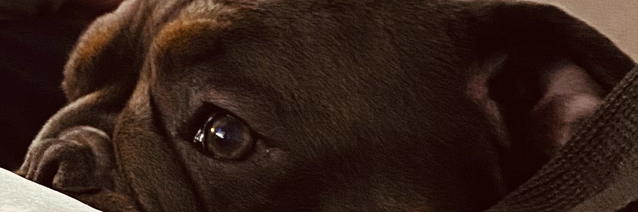 mandyjbennett78's profile banner image