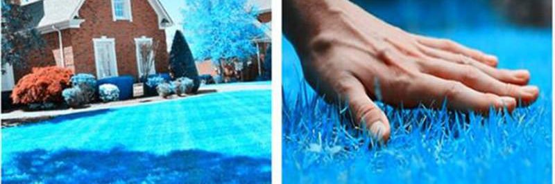 Tig banner