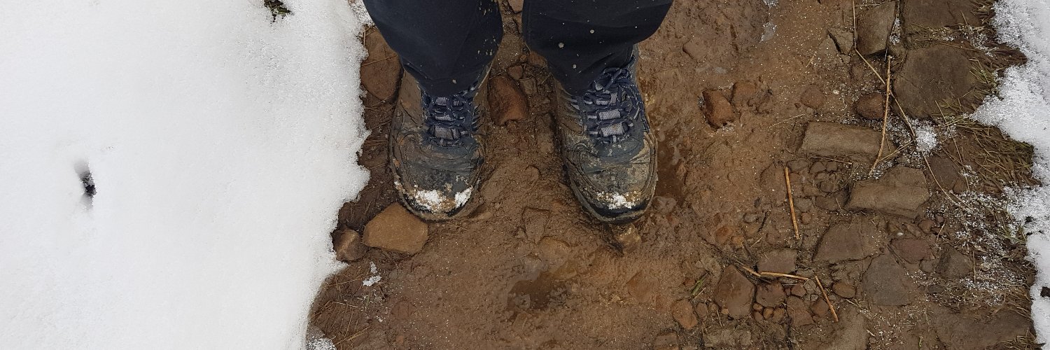 Bennett Choy | 蔡俊康 banner