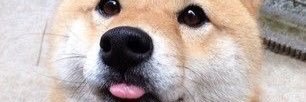 HHPSTP's profile banner image