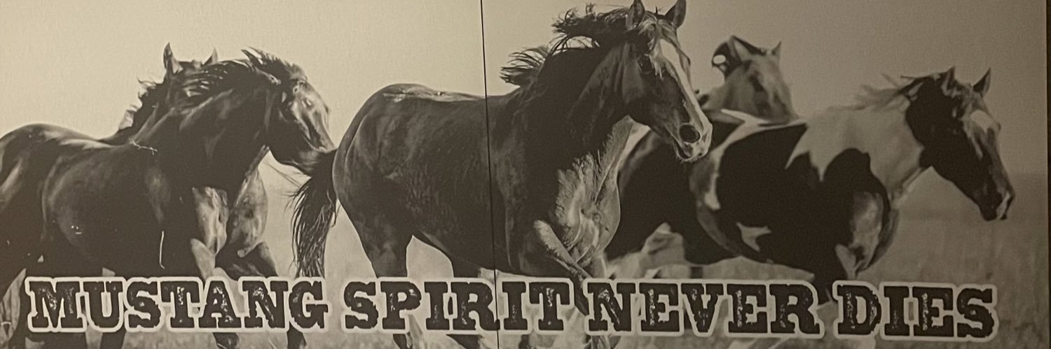SHS Activities's banner