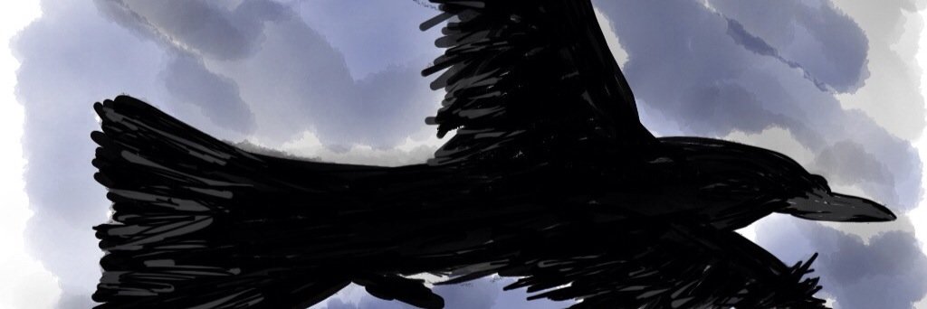 KRSuiui's profile banner image
