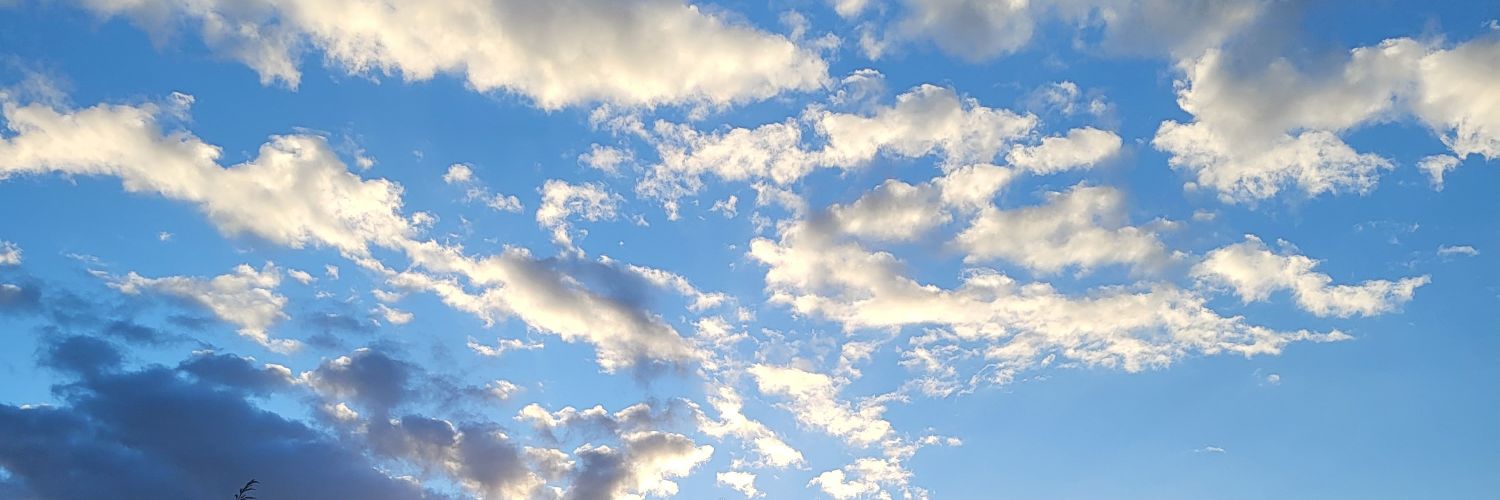 liss banner
