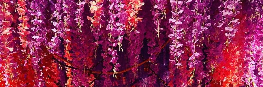 緋月 banner