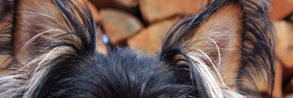 duganfoundation's profile banner image