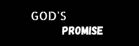 Nneoma🍯's banner