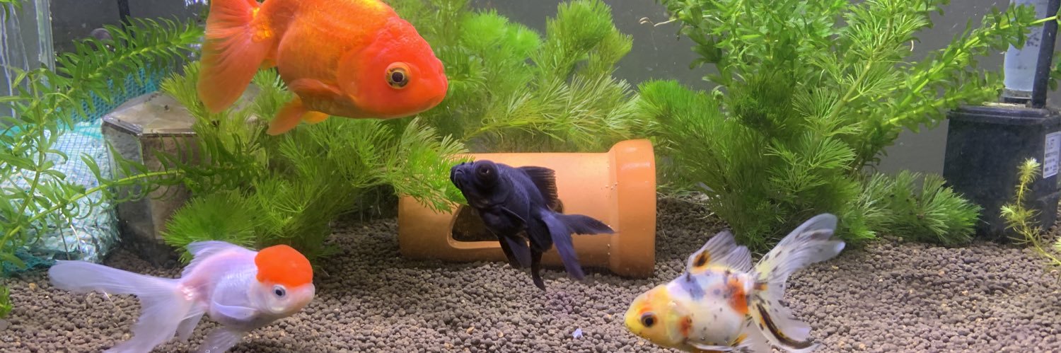 UTCHY◆JN7VGL a.k.a 中足天雷人外魔境 banner