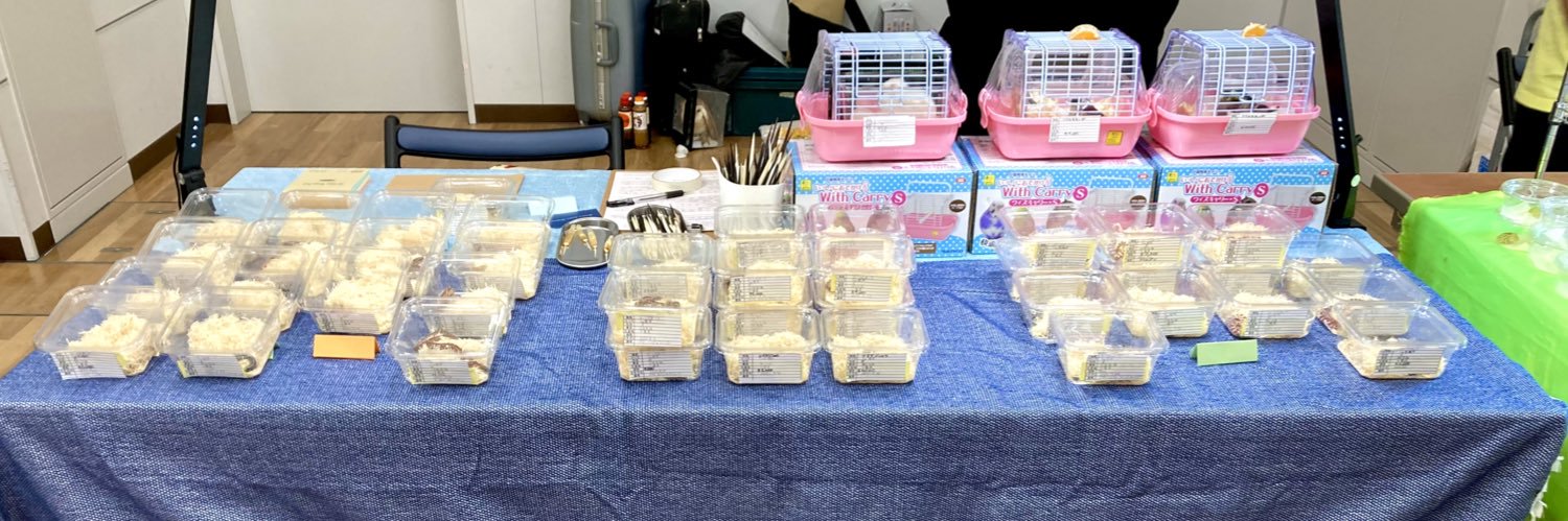 ★ＹＵＲＩＧＩＮＡＬ★@祝ぶりくら市２５周年 banner