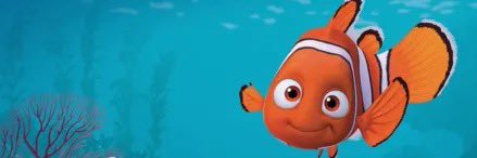 Nemo banner