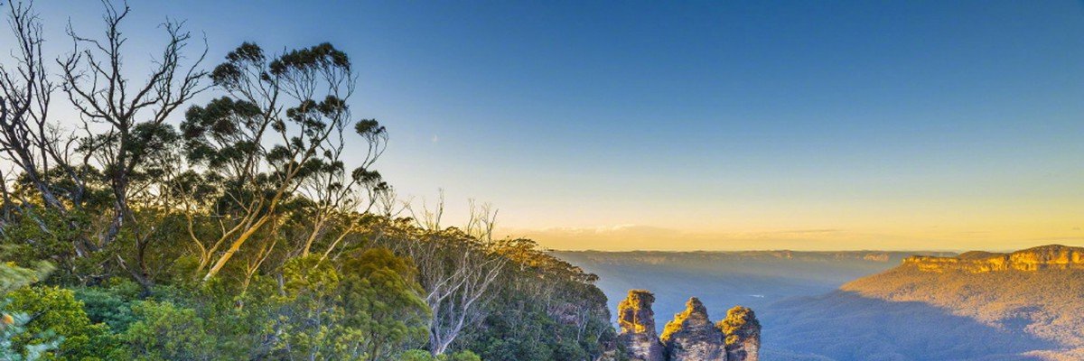 ricapemuda's profile banner image