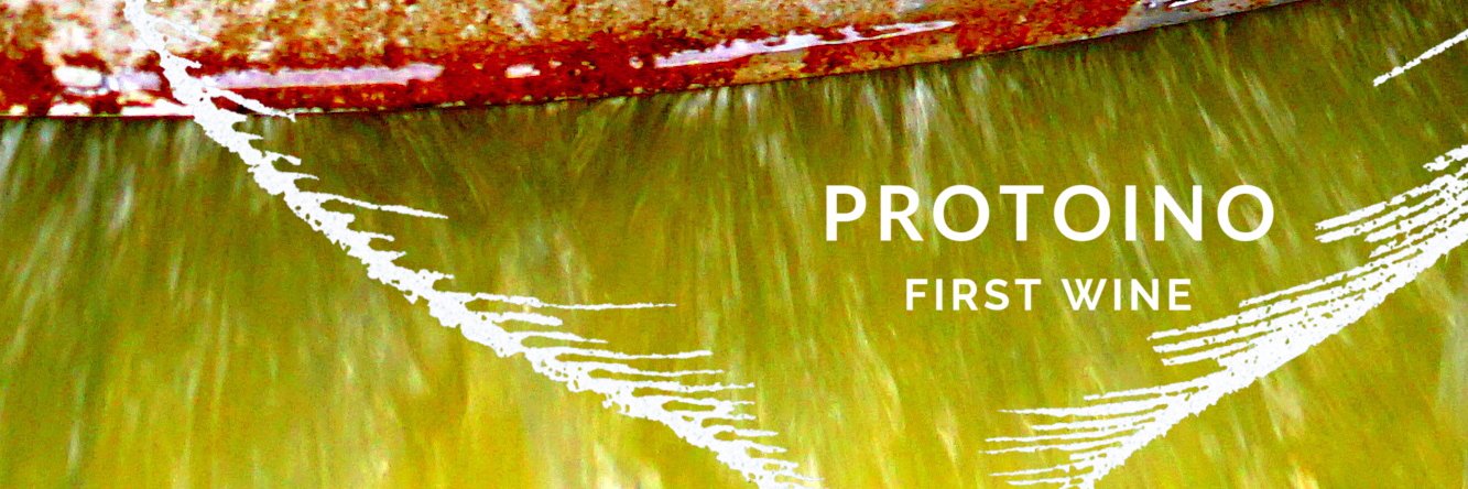 protoinos's profile banner image
