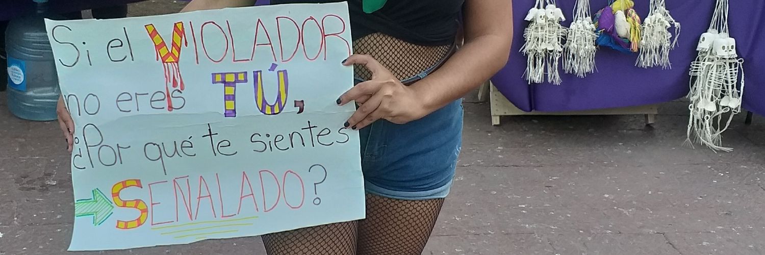 ✨Mulixita Jackson de Hyrule 🧝🏻‍♀️🗡️ banner