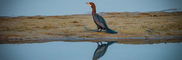 qamalqumar Profile Banner