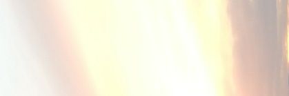antonia banner