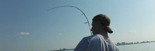 Jackson DeWalt banner