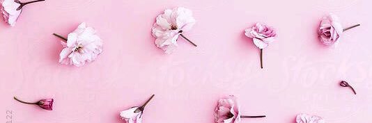رذاذ banner