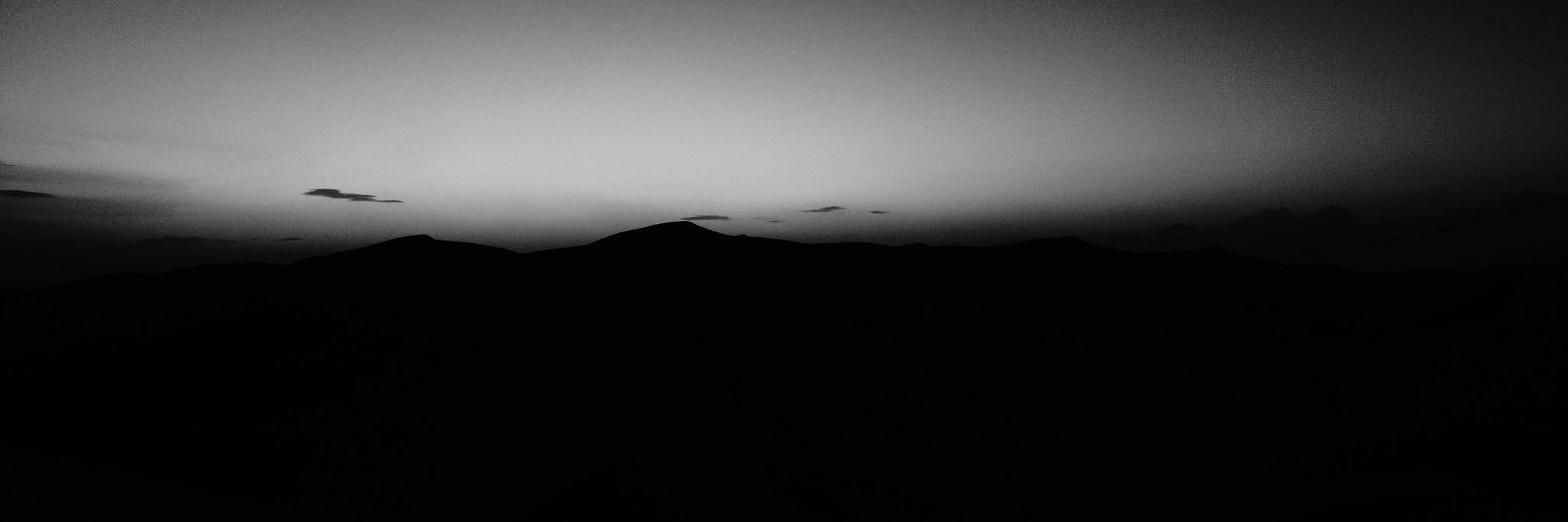 Jimena C. Notari banner
