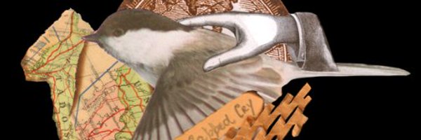 BloodLemon3 Profile Banner