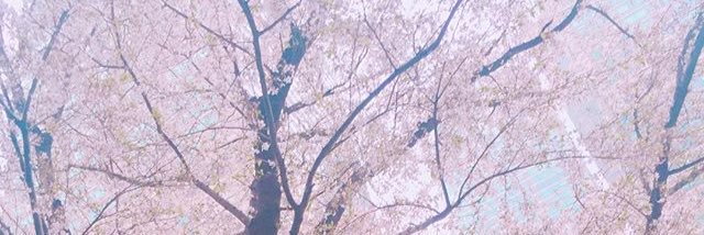 LUKAJXY's profile banner image