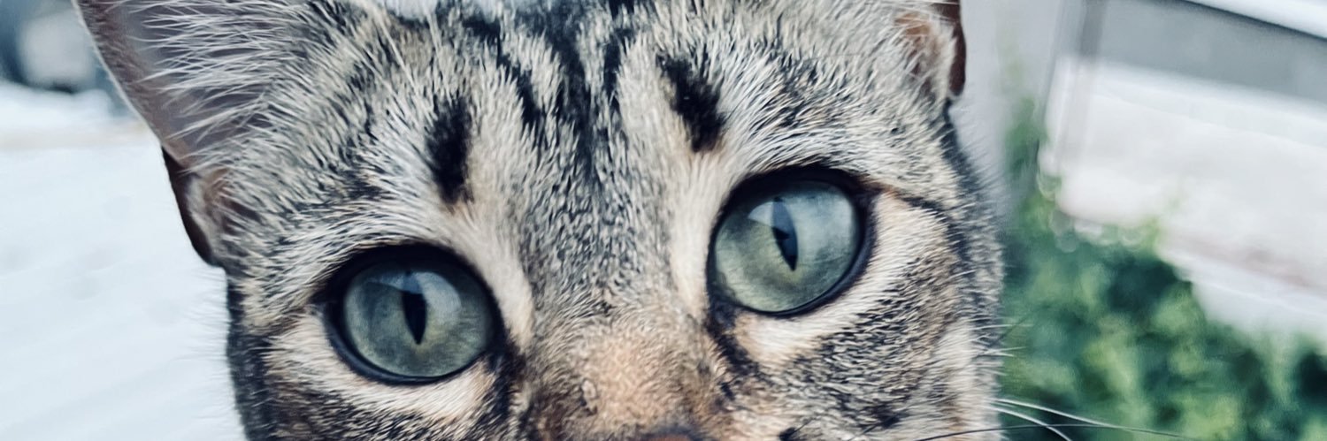 Prisanchezzz's profile banner image