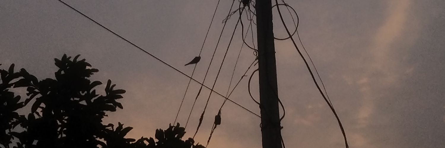 ਉਪਦੇਸ਼ ਕੌਰ Updesh Kaur banner