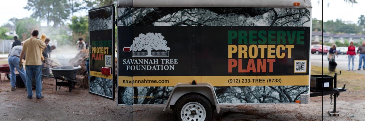 Savannah Tree banner