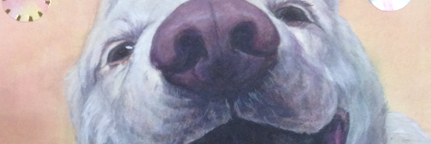 jinchou3's profile banner image