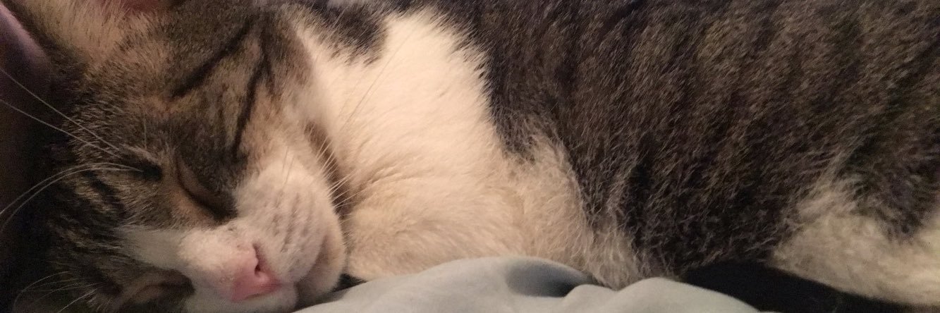 CarlyAlysha's profile banner image
