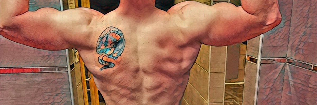 tyler47schultz's profile banner image