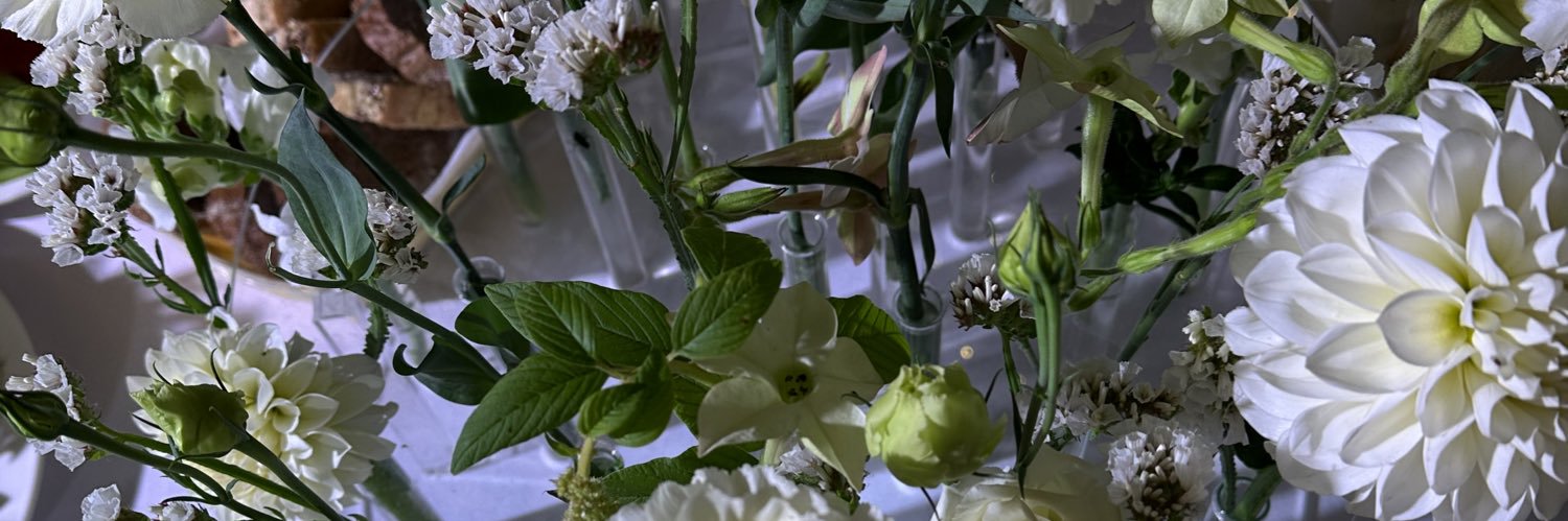 adaa_kim's profile banner image