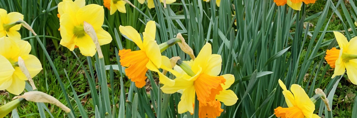 Webb_Emma13's profile banner image