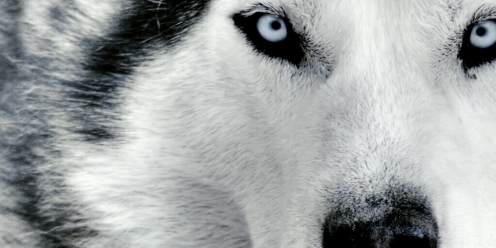 FattiiBascon's profile banner image