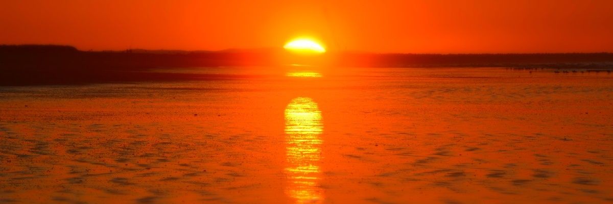 Winston Smith banner