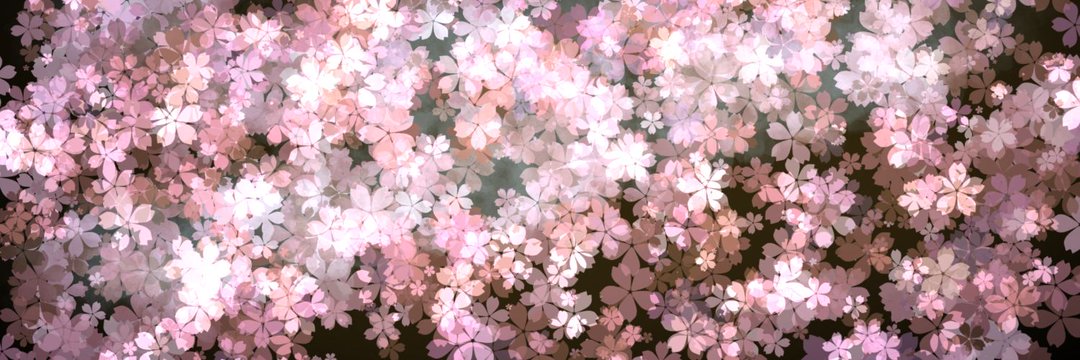 soranono6969's profile banner image