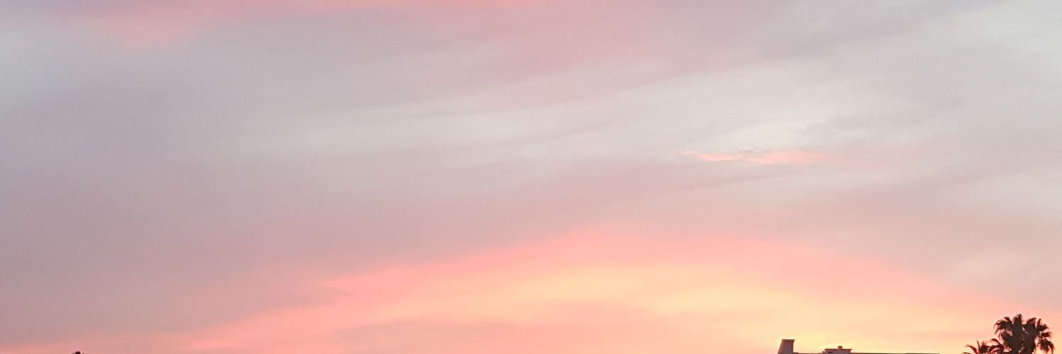 pebleesit's profile banner image