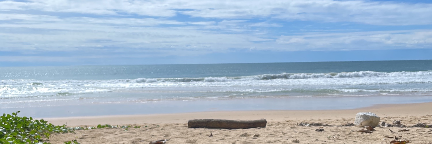 𝕄𝕒𝕣𝕜𝕠 𝕄𝕔𝕃𝕚𝕠𝕟 banner