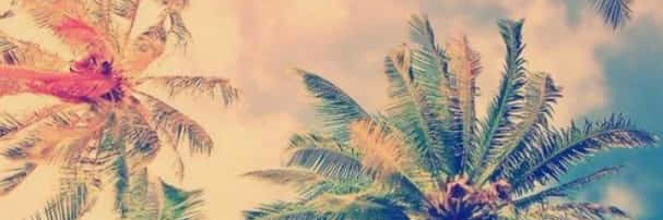 Adedeji Bugari 👾 banner