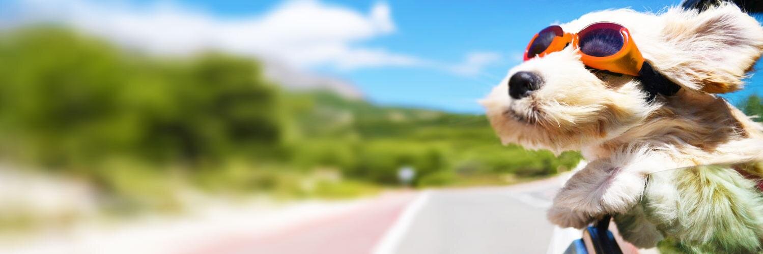 BookingCatch's profile banner image
