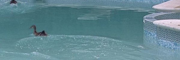 sopranos_vibes Profile Banner
